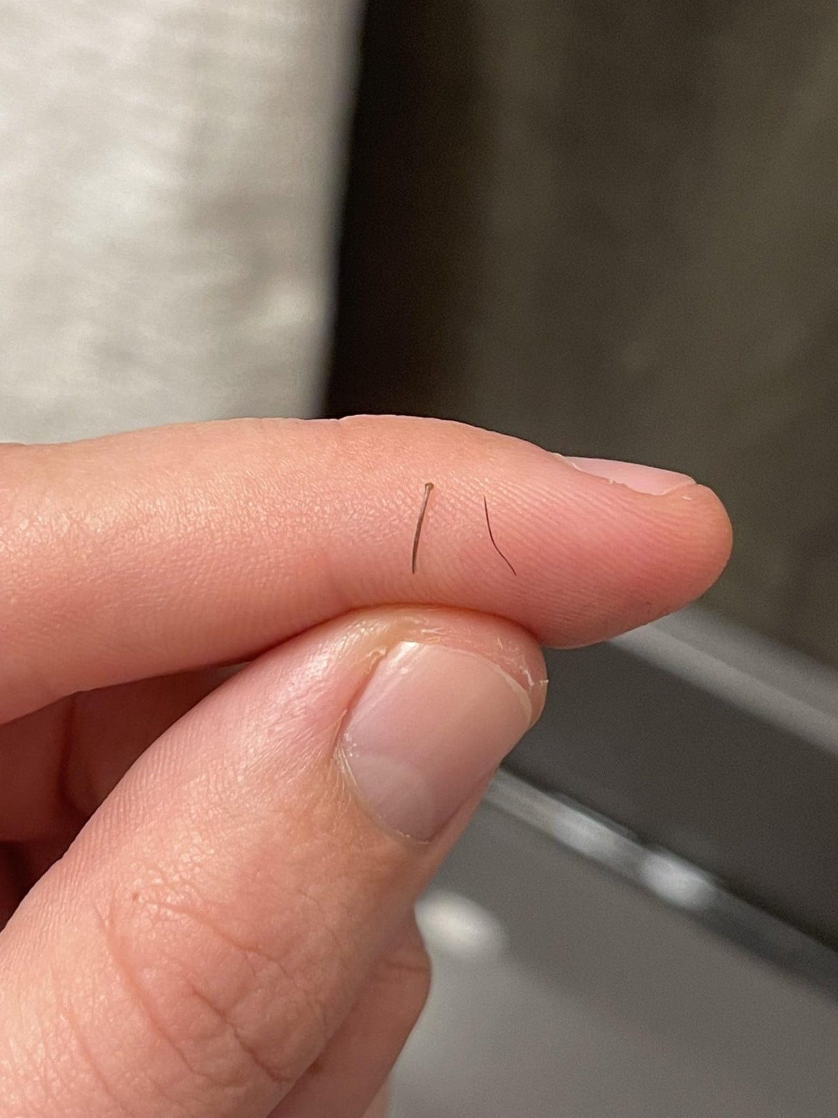 Two hairs of different thicknesses resting on a fingertip